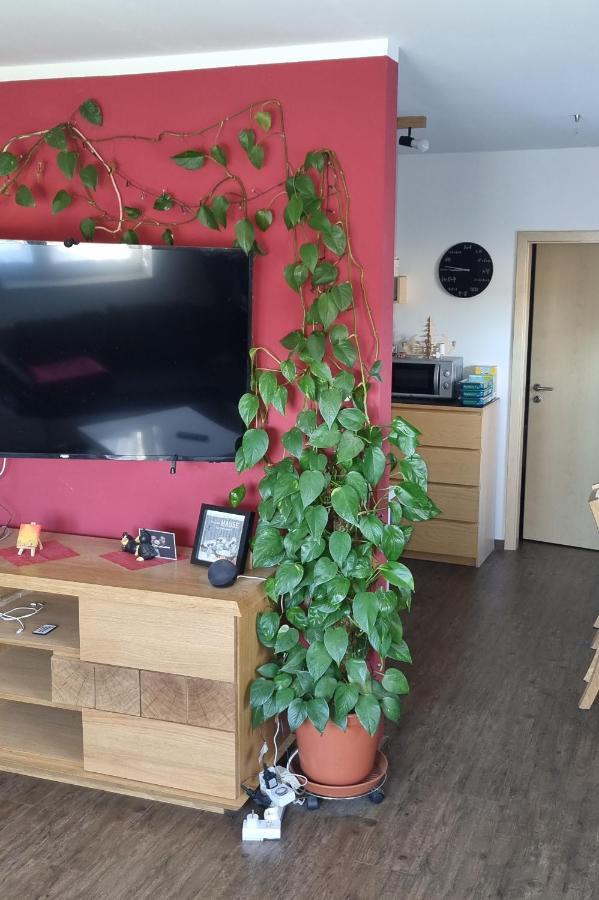 Ferienwohnung Bergidyll Schwarzenberg  Εξωτερικό φωτογραφία